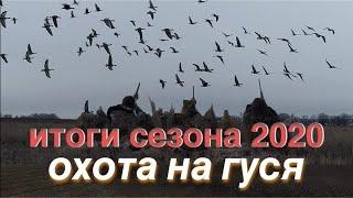 Охота на гуся сезон 2020 кто такие ПроГусь