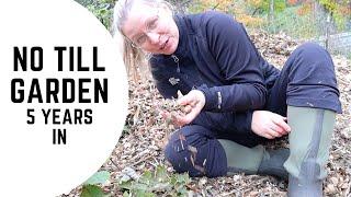 Woodchip Gardening | No till Garden | Back to Eden Gardening Method | Ruth Stout Garden