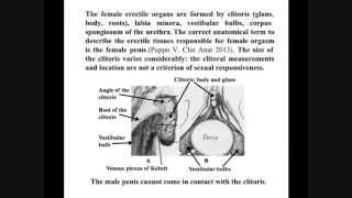 EJOG: Clitoral complex doesn't exist RE Christine Vaccaro Frankee Woodham Kay Susan Oakley et al