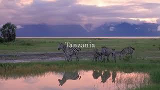 Best places to visit in Africa in 2024