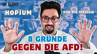 Ich verstehe, dass ihr die AfD wählt, aber macht das nicht! | MEINE 8 GRÜNDE | Grenzgänger Kommentar