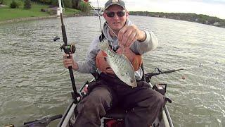 Trying to Feed Live Crappie to Flathead Catfish