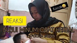 BUSUI MINUM OBAT HERBAL #bumil #busui #salamsehat