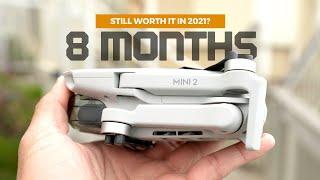 DJI Mini 2 Long Term Review - 8 Months Later