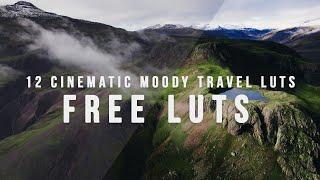 12 CINEMATIC LUTs for FREE | Final Cut Pro, Premiere Pro, Davinci Resolve