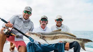 Unfathomed - Cobia Fishing in Virginia Beach