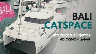 4 года на рынке: Bali Catspace, что изменилось?