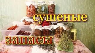 Заготовки на Зиму/Запасы сушеных овощей,фруктов,трав,пастилы/Как и в чем хранить?