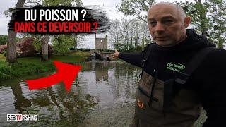 Du gros poisson dans ce petit déversoir ? pêche au coup.