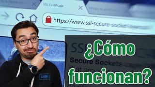 ¡Aquí tienes TODO lo que necesitas saber de los certificados SSL/TLS!