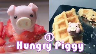 Hungry Hungry Piggy1 : Super Cute Stop Motion Mini Pig Eating The music is so funny, can't stop 