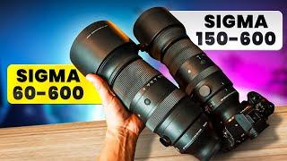 Sigma 60-600mm vs 150-600mm: Which is Worth It? | Wildlife Photography