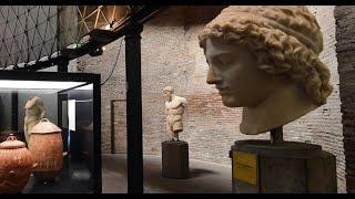 Il Museo dell'Arte Salvata - RAI Cultura