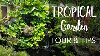 Tropical Garden Tour with 8 Gardening Tips | Heliconias, Ferns, Herbs, Fish Pond and More!
