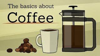 The basics about: Coffee