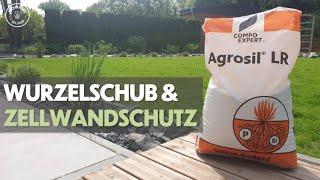 AGROSIL LR | Wurzelwachstum & Zellwandschutz | Bodenverbesserer | Dünger