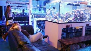 One Of USA's Best Saltwater Aquarium Stores: A Reef Creation (ARC)