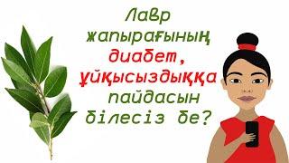 Лавр жапырағының диабет,ұйқысыздыққа  пайдасын білесіз бе?