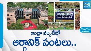 ఆంధ్రా వర్సిటీలో ఆర్గానిక్‌ పంటలు | A Natural Farm From Wasteland at AU In Vizag @SakshiTVSagubadi