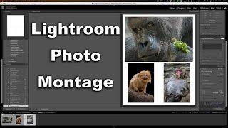 How To Create a PHOTO MONTAGE in Lightroom