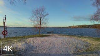 【4K】 Walking Along the Shores of Pyhäjärvi - Hatanpää Arboretum