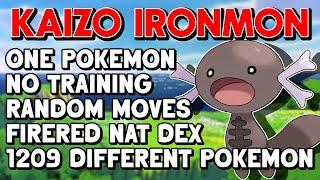 Pokémon's "hardest" challenge Kaizo ironmon! 800 resets and counting!