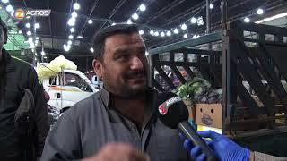 واحد من الناس مع احمد الركابي "علوة الرشيد" قناة زاكروس العربية Zagros TV