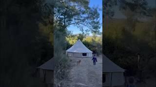 Ein Kinderzimmer mitten im Wald ️ #camping #zelten #outdoor #familie #inkharmony