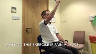 Active Assisted Flexion of the Arm