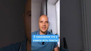 Как понять что у кошки глисты #кошки #ветеринар