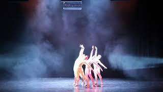 Shape | Contemporary | UCL Dance Society | ILLUSION