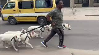 Cité parmi les contacts politiques de l’AFC Joseph Olengankoy,détendu ce matin dans une rue de Kin