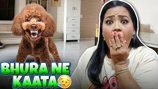 Bhura Aaj Kal Kaatne Laga Hai | Bharti Singh | Haarsh Limbachiyaa | Golla