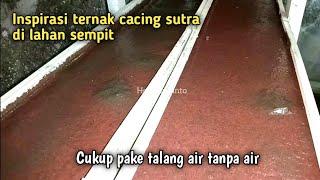 Solusi Ternak Cacing Sutra Lahan Sempit