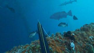 Spearfishing GIANT 100+lb  Cubera Snapper Offshore Oil Rigs RAW DIVING + the Blowing up of Platforms