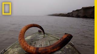 Mammoth Tusk Treasure Hunt | National Geographic