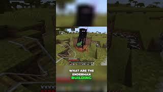 Enderman Adventure  Discover What They're Building! #minecraft #minecraftgameplay #minecraftgaming