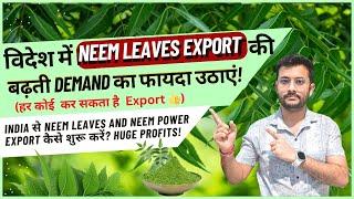 Increasing Demand of Neem Leaves  | How to Export Neem Leaves  |  | Earn Huge Profit  | CIES