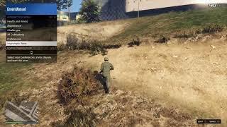 GTA5 Green_Manuel 420AM