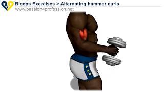 How To Do Alternating Hammer Curls - Biceps Exercises | Fit Nomads | Nomad Workout