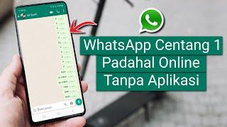 Cara Membuat WhatsApp Centang Satu Padahal Online Tanpa Aplikasi