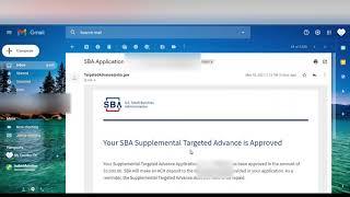My EIDL Supplemental Targeted Advance Application Timeline
