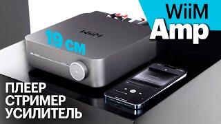 WiiM Amp — компактный и недорогой стример-усилитель "всё в одном".