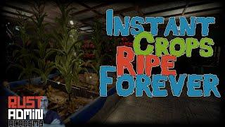 Save Your Rust Players Some Time with Instant Crops that Last Forever | Rust Admin Academy |