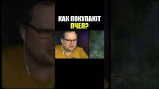 КАК ПОКУПАЮТ ПЧЕЛ? / KUPLINOV PLAY