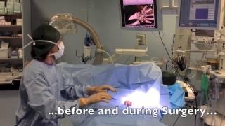 Leap Motion with Osirix Dicom Viewer in Operating Room with 3D CT Scan Reconstruction during Surgery