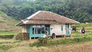 Kampung Lereng Gunung Di Kelilingi Hutan, Menyimpan Keindahan Yang Menakjubkan