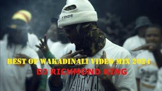 WAKADINALI MIX 2024 MUNGA, SCAR MKADINALI , Sewer MKADINALI #wakadinali