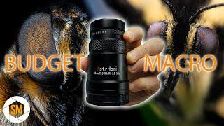 Astrhori 25mm F2.8 2-5X Macro Review - EXTREME MACRO PHOTOGRAPHY ON A BUDGET!