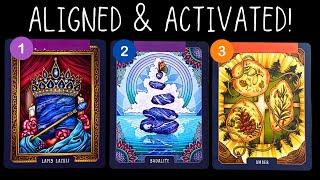 What Destiny Is The Solstice Activating & Aligning You With? ⭐️ pick a card 🃏tarot card reading